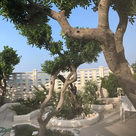 Oda ve Kahvaltı S.anna Bari