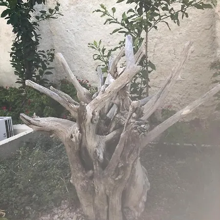 Frühstückspension S.anna