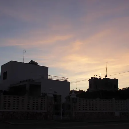 S.anna *