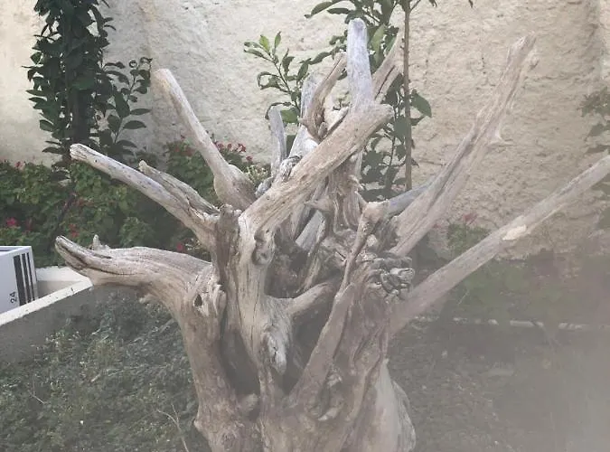 فندق مبيت وإفطار S.anna