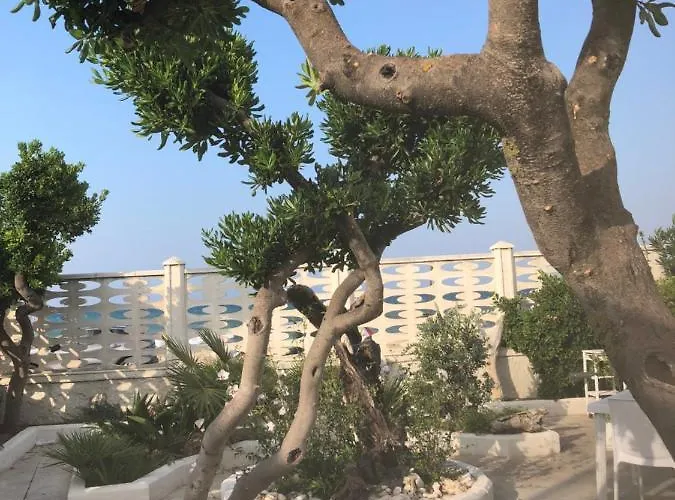 فندق مبيت وإفطار S.anna باري